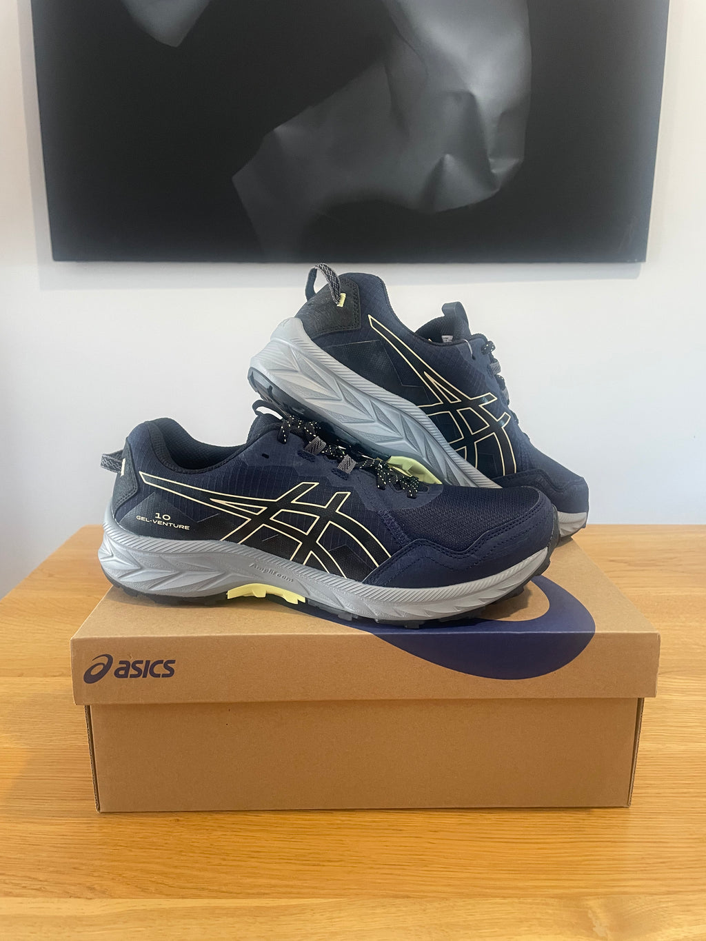 Asics gel venture 10