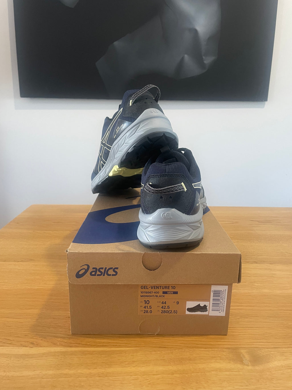 Asics gel venture 10