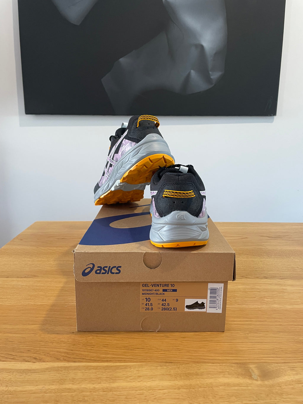 Asics gel venture 10