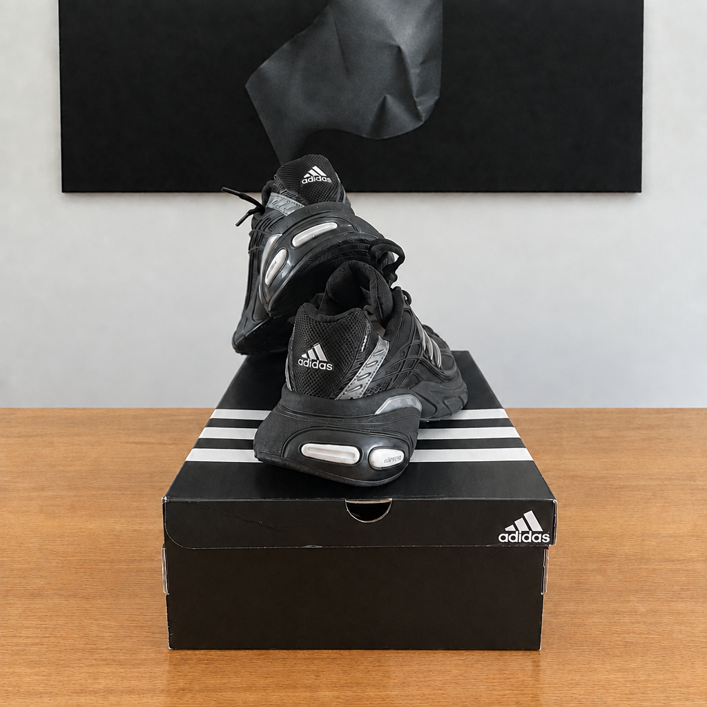 Adidas Adistar : boîte et chaussures centrées sous le tableau noir, sans étiquette blanche